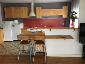 T3 88m2 26 rue Claude Genin 38100 Grenoble